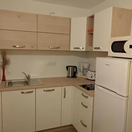 Turisticna Kmetija Pri Andreju Apartment Bohinj Room photo