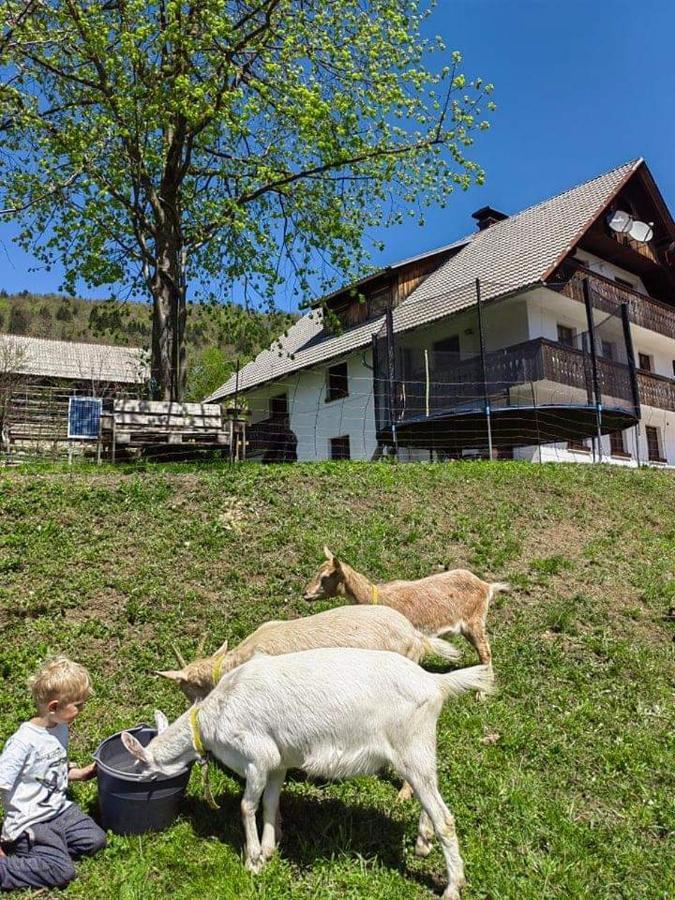 Turisticna Kmetija Pri Andreju